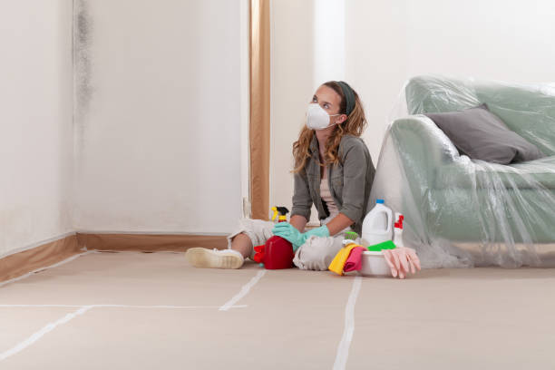 Reliable Commercial Mold Remediation contractor in Hudson, IL by 24 Hour Mold Removal